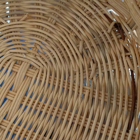 Turtle Basket - Picture 6 of 7